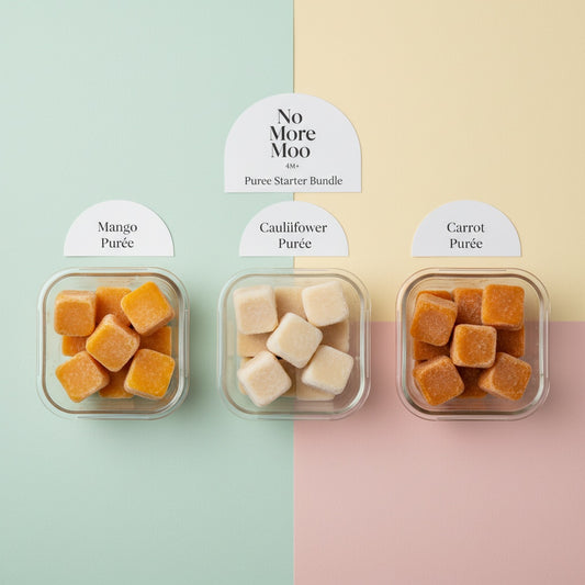 4M+ Puree Starter Bundle